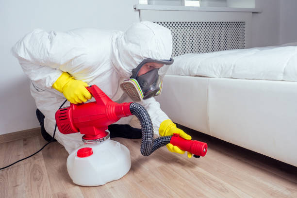 Best Pest Control Near Me in Belgium, WI