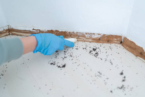 Wildlife Control Services in Belgium, WI